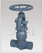 Forged Steel Pressure Seal Globe Valves, Threaded and Socket weld