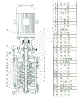 DL、DLR多级泵结构图片