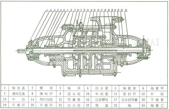 D型多级泵结构图