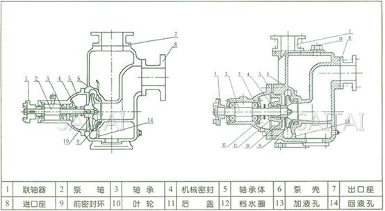 ZX自吸泵结构图